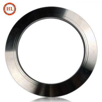 High Quality Customized Stainless Steel Forging Flanges